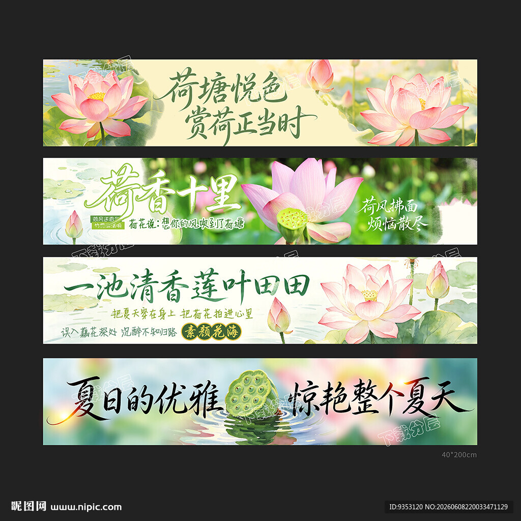 荷花节