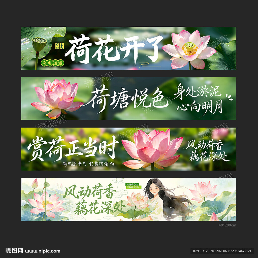 荷花