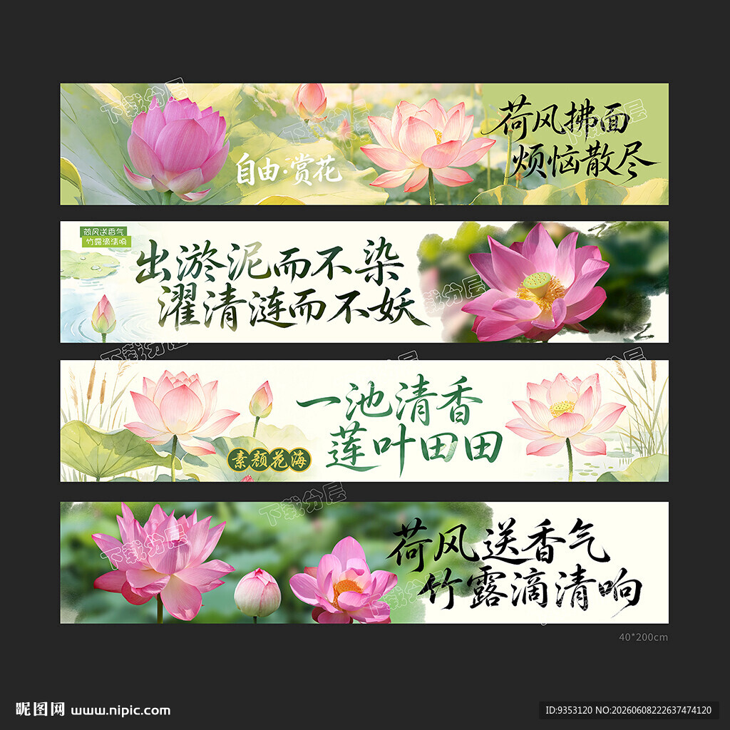 荷花