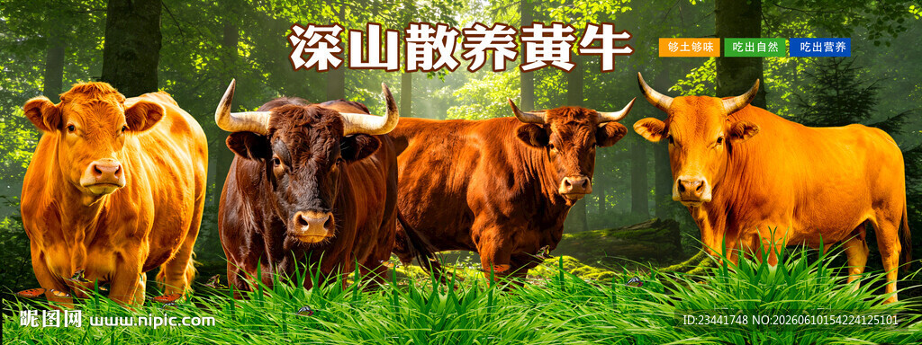 黄牛海报