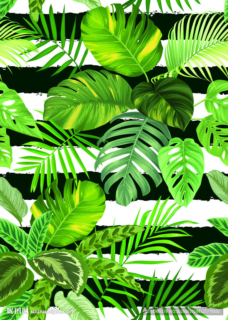 热带植物