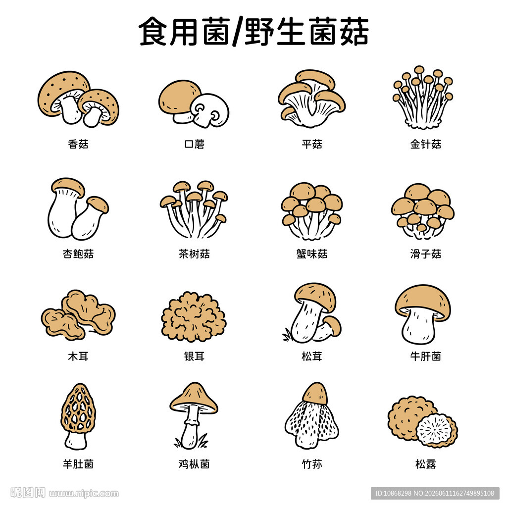 矢量手绘线条蘑菇菌菇图标