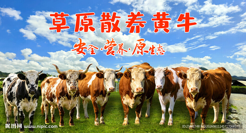 黄牛海报