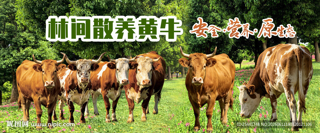 黄牛海报