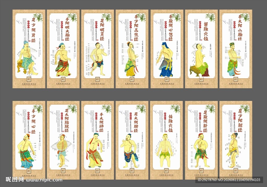 中医十四经络穴位