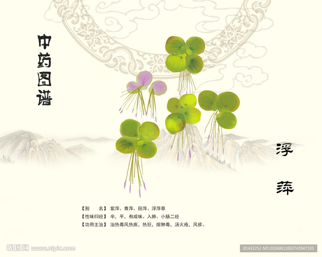 浮萍中药浮萍
