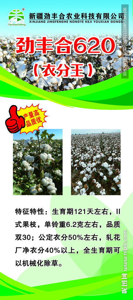 棉花展架B