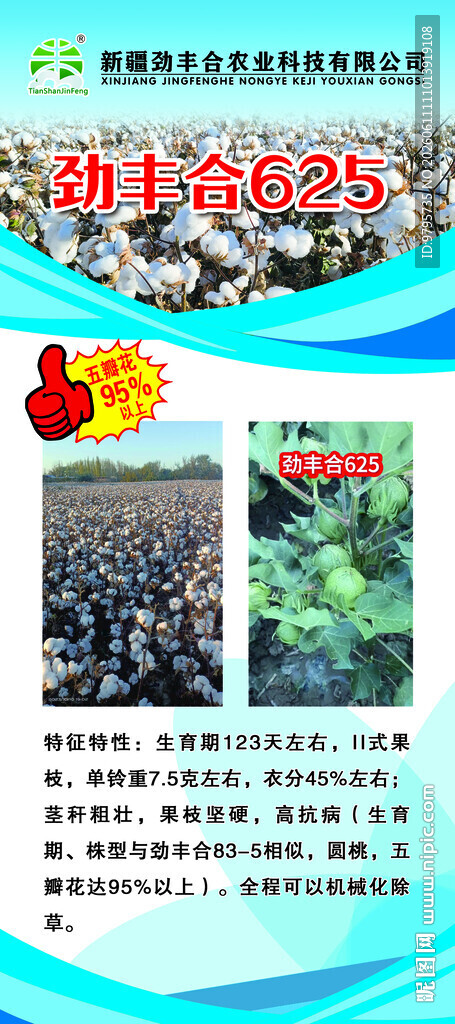 棉花展架A