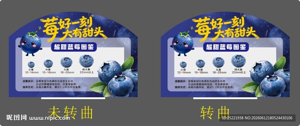 蓝莓店教