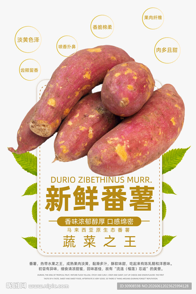 番薯