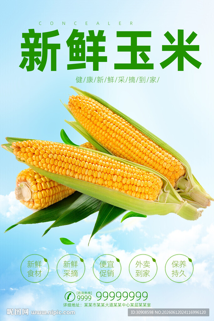玉米