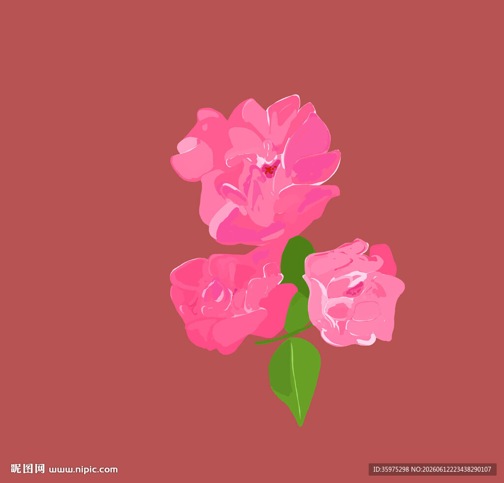 粉色花卉插画