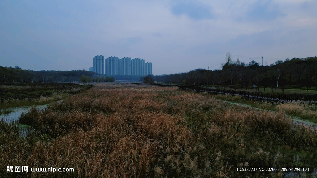 田野风光中的远处建筑群