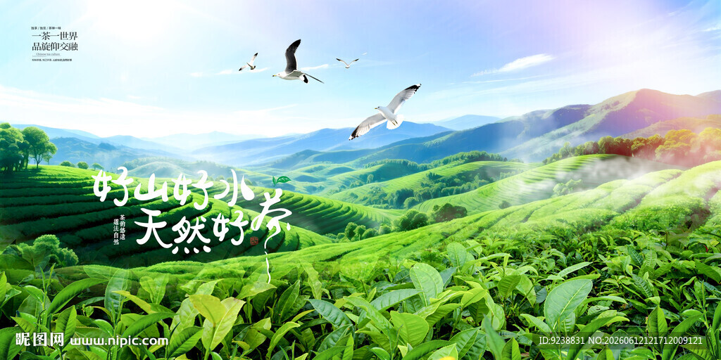 茶山茶园