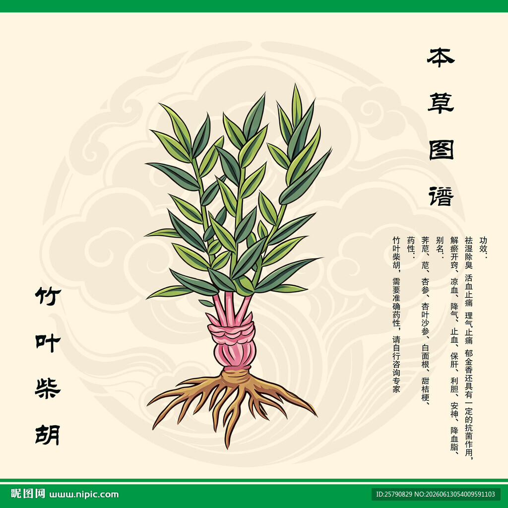 竹叶柴胡图示