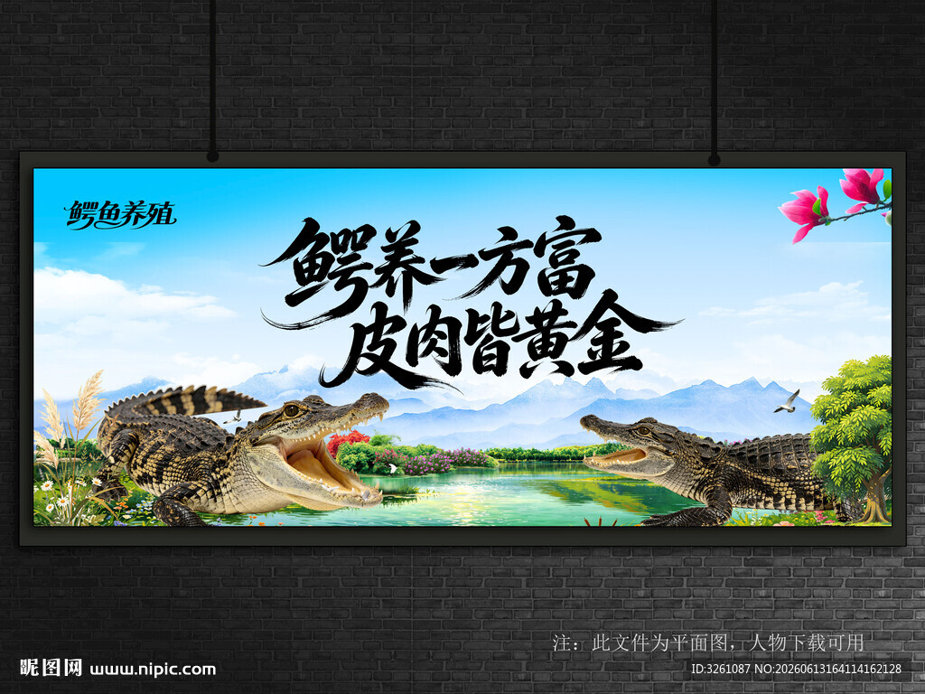 鳄鱼