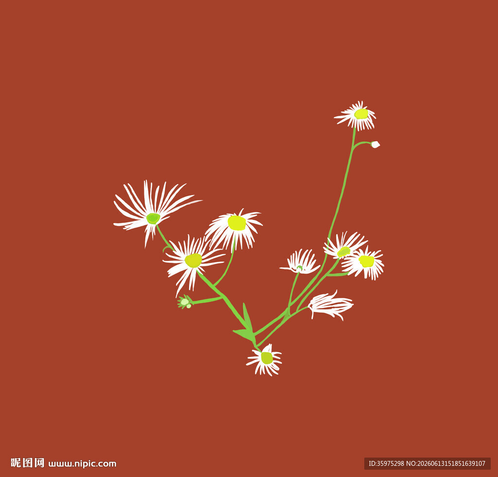 红色背景上的清新小花