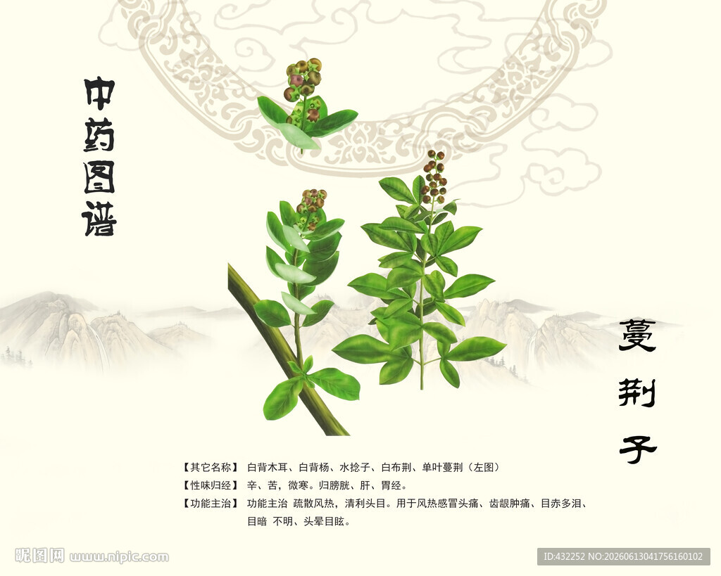 中药材蔓荆子展示图
