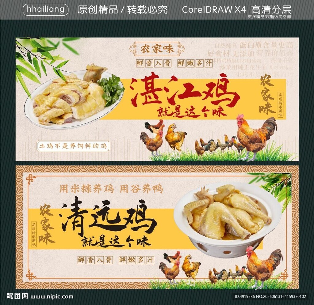 湛江鸡与清远鸡