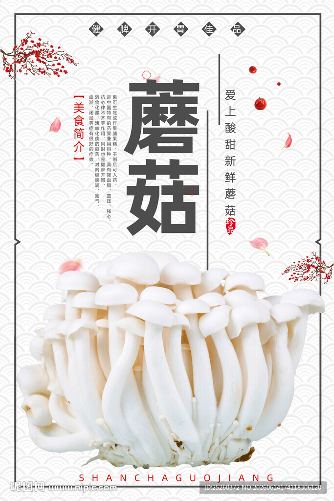 蘑菇