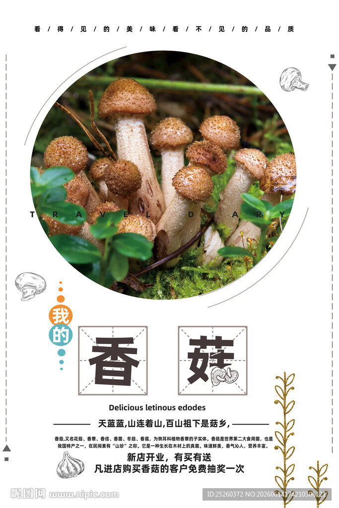 蘑菇