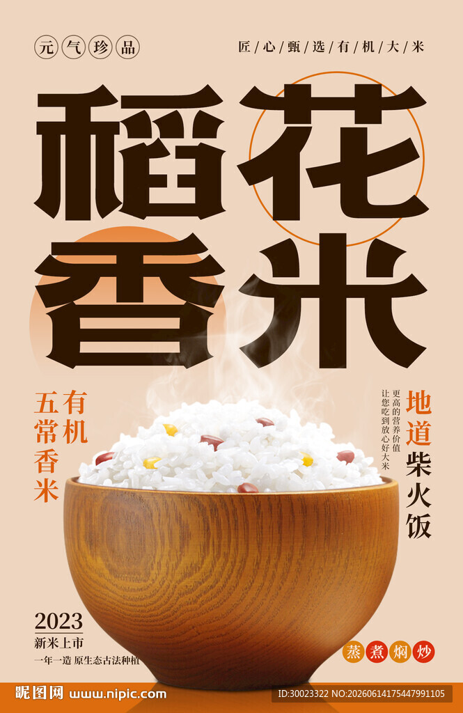 大米饭海报