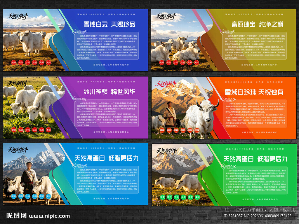 白牦牛