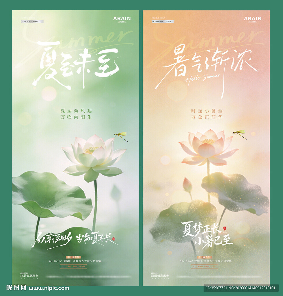 夏至小暑荷花光影海报