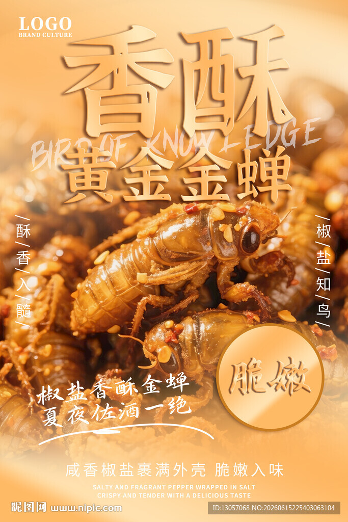 知鸟海报