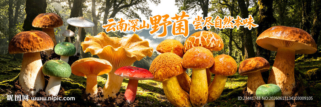野生菌广告 