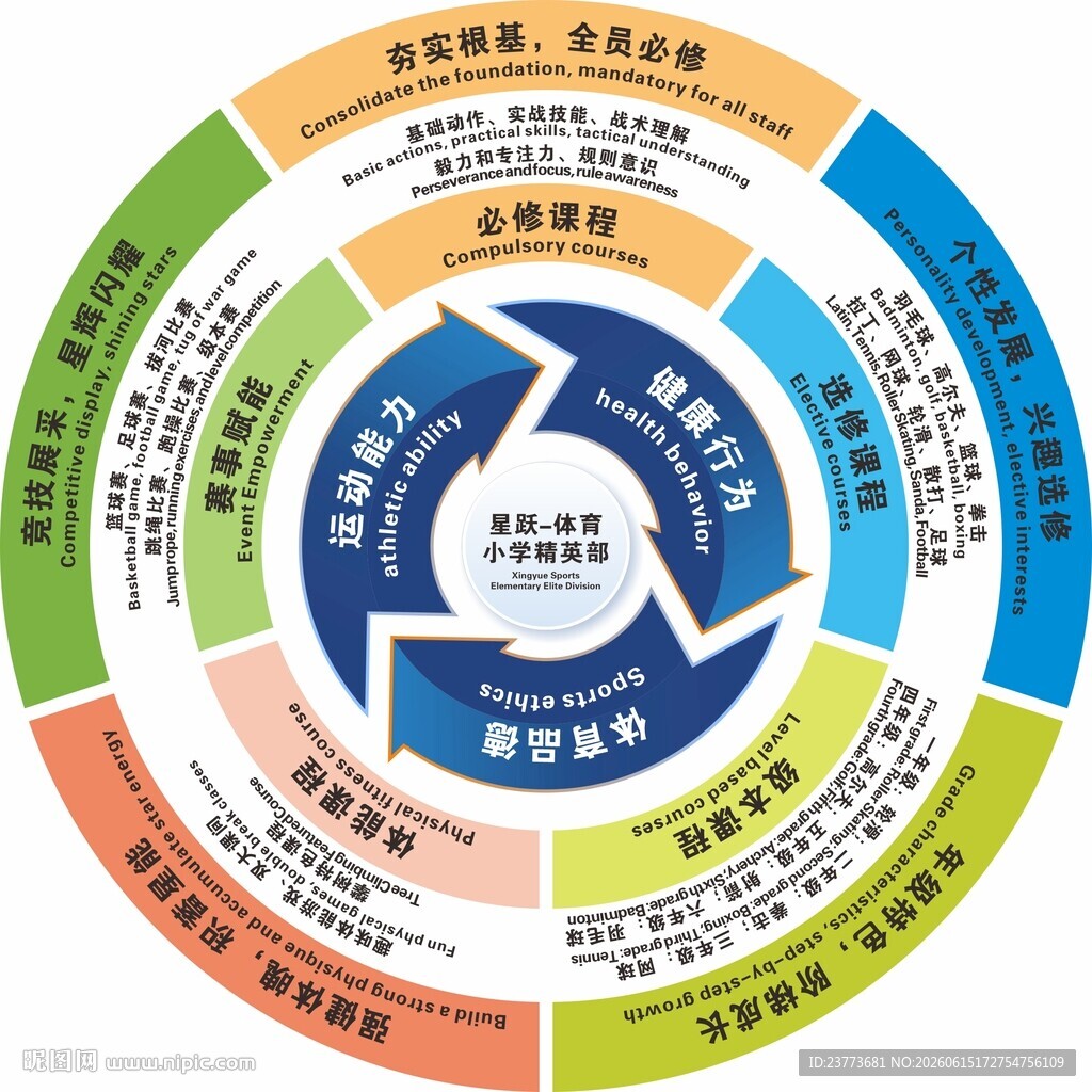 环形图表