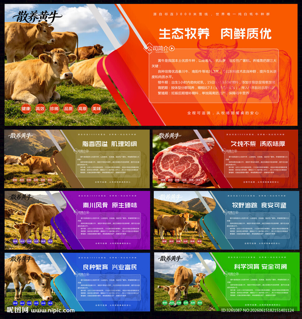 散养黄牛