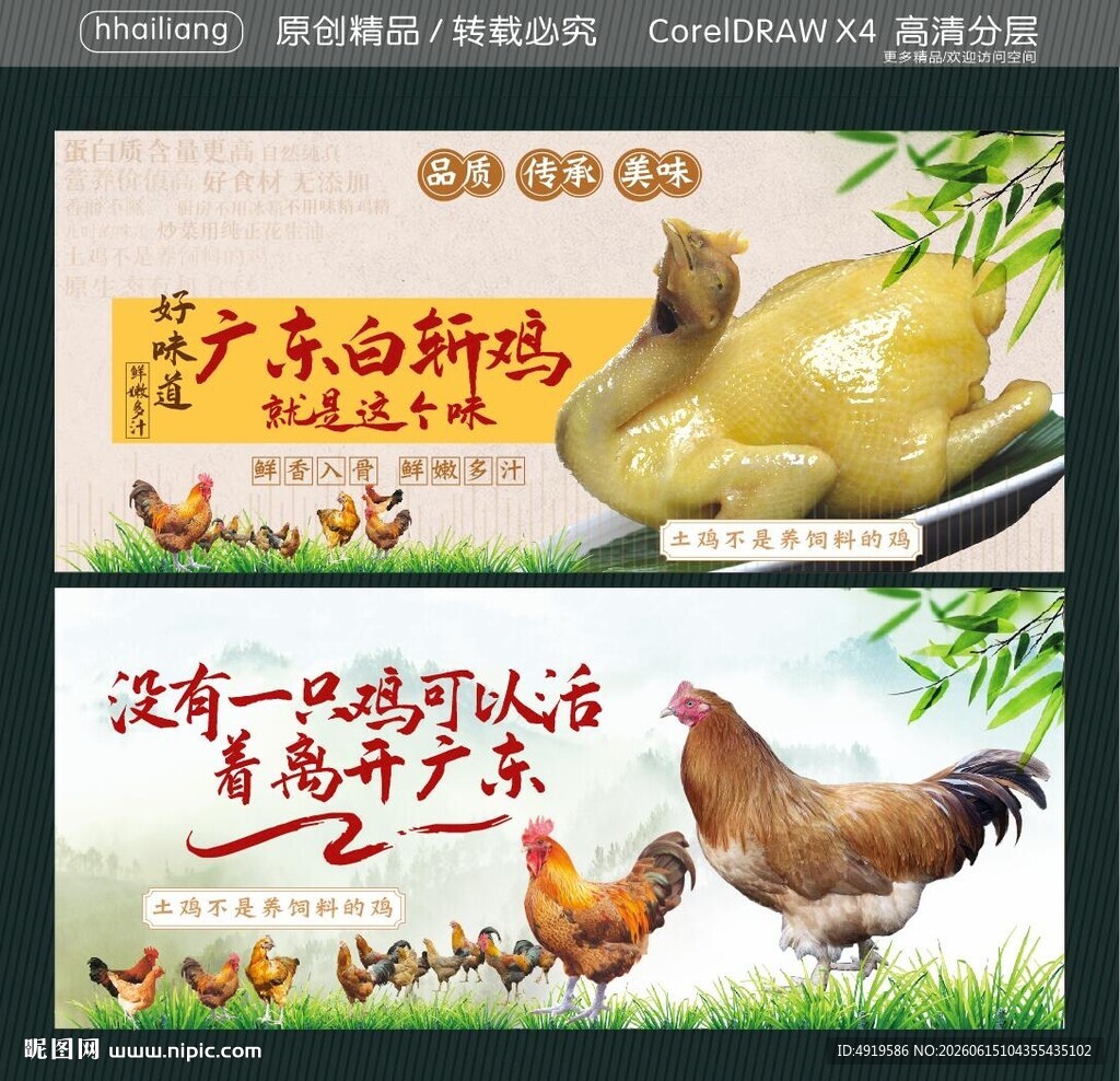 广东白斩鸡