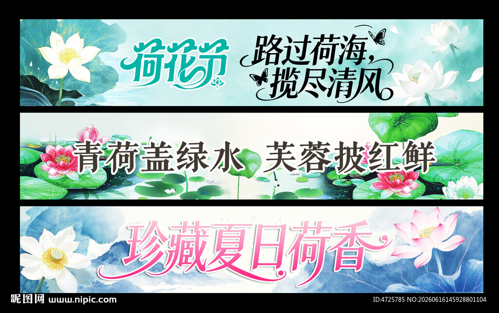 荷花横幅