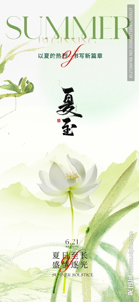 夏至节气海报