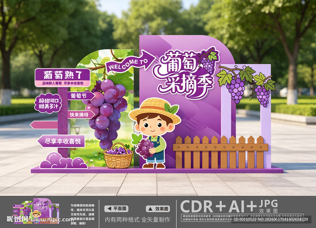 葡萄采摘季