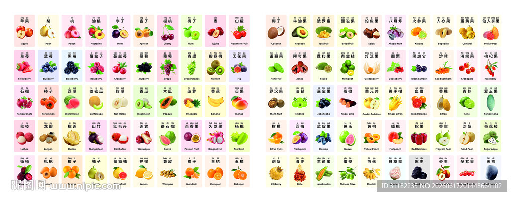 100种常见水果