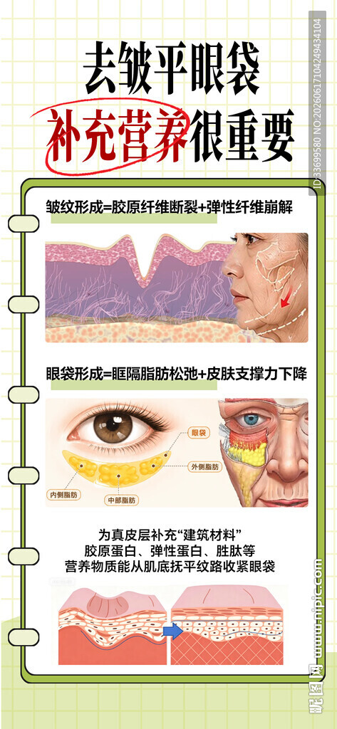 皮肤结构科普图示