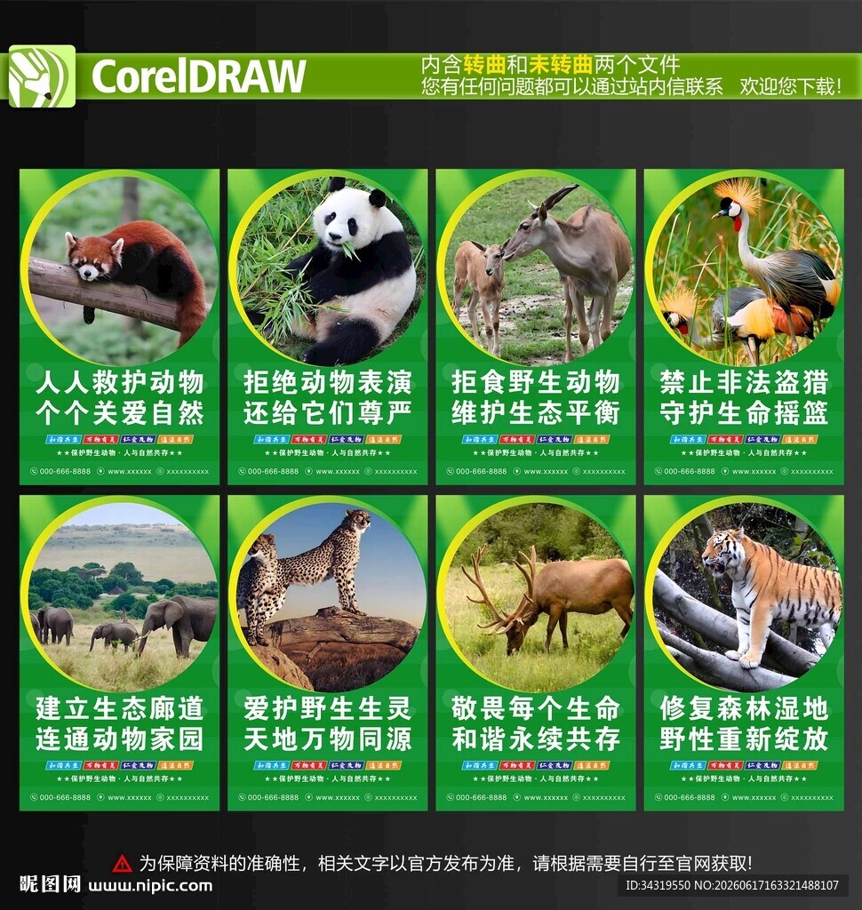 野生动物海报