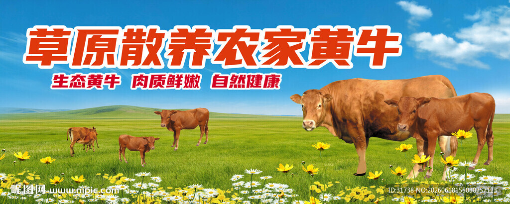 黄牛海报