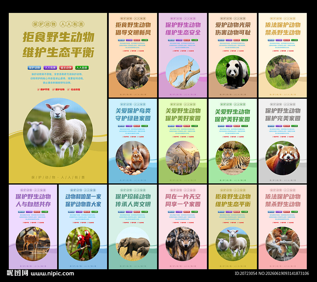 保护野生动物