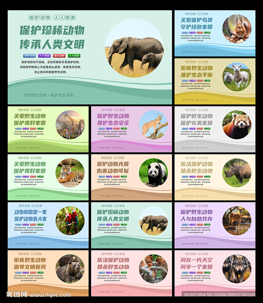 保护野生动物