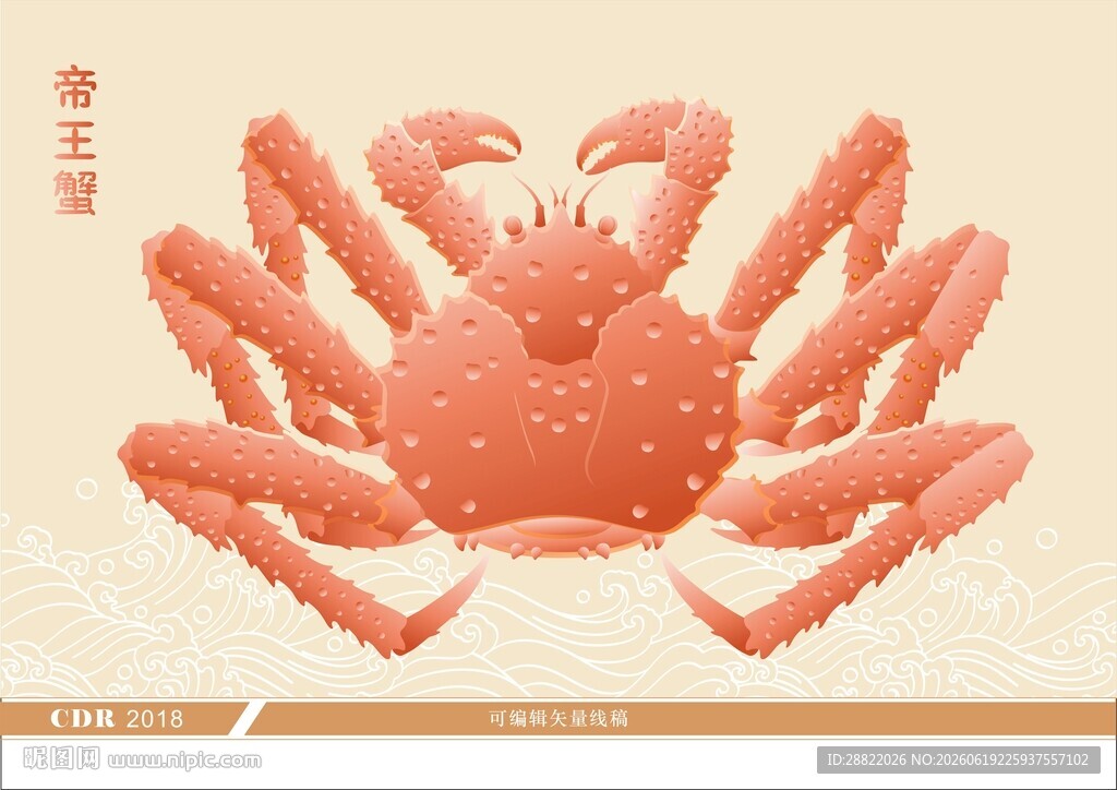 红色帝王蟹插画