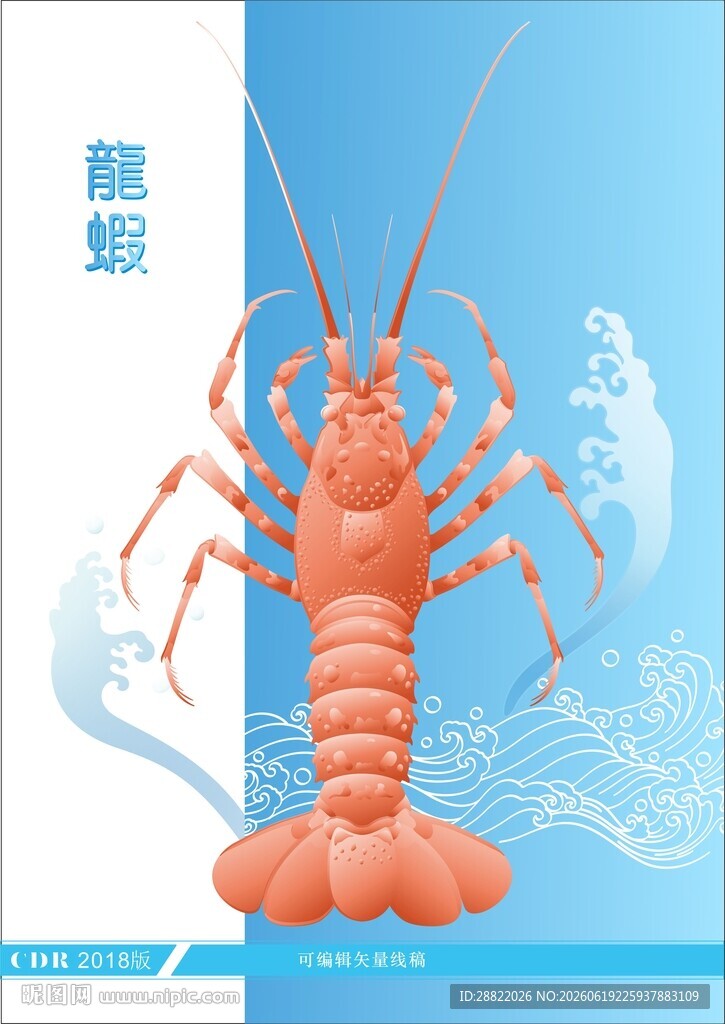 鲜活大龙虾展示