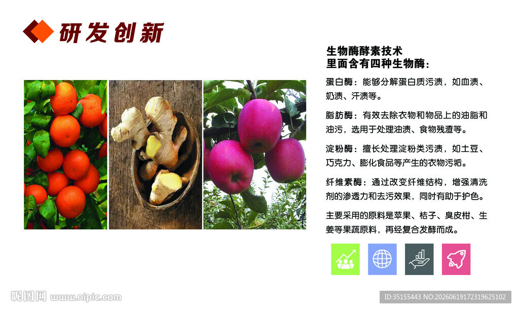 生物酶酵素