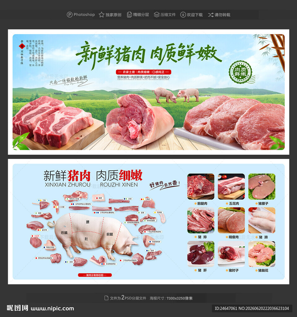 猪肉