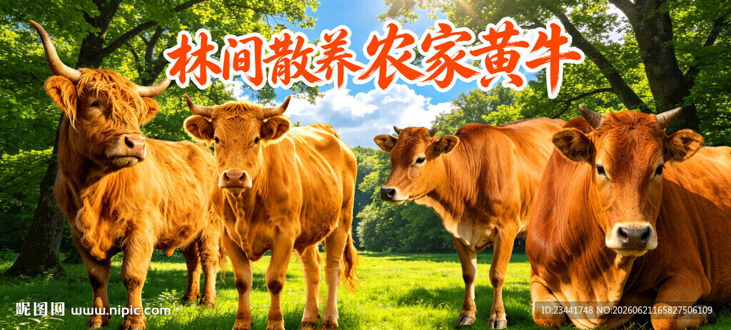黄牛海报