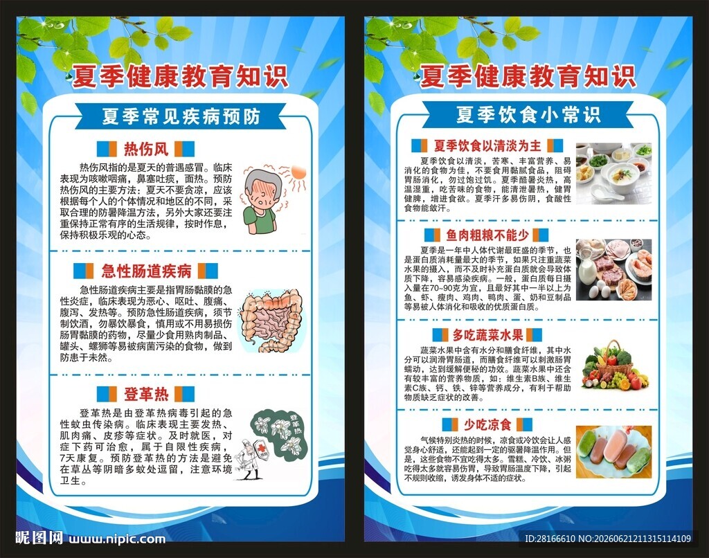 夏季健康教育知识展板