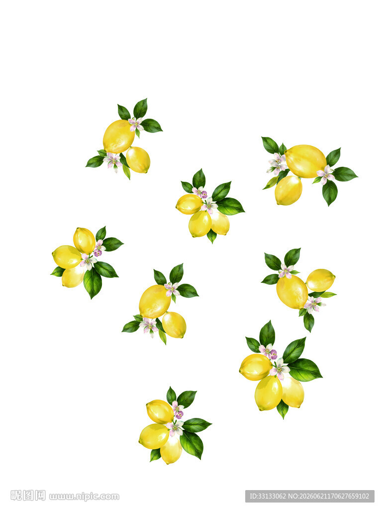 柠檬 数码