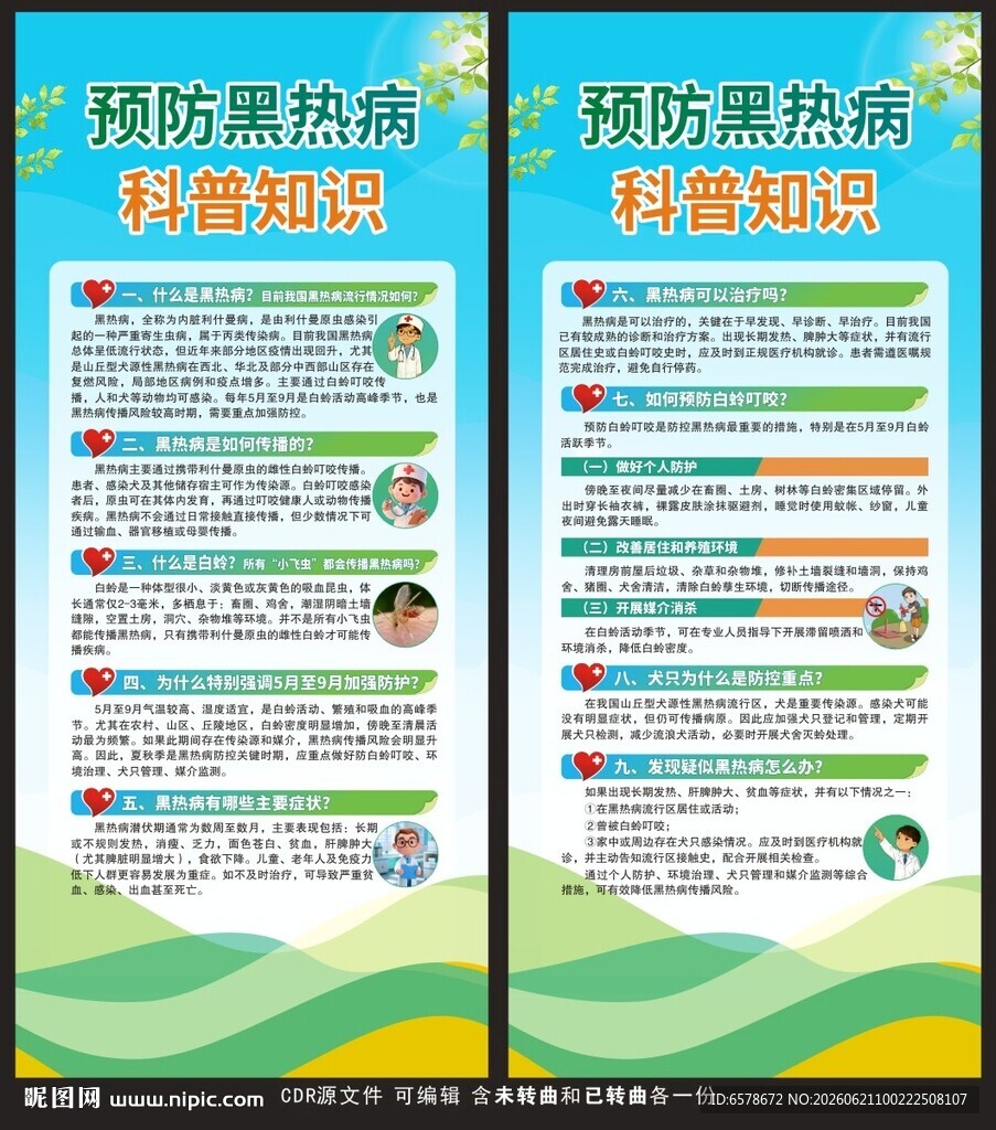 黑热病科普知识展架